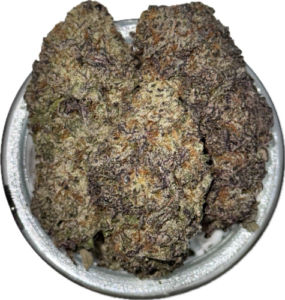 Bad Decisions x Samui Sunset